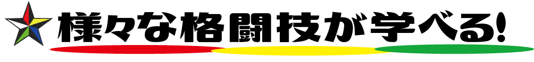 様々な格闘技が本格的に学べる!